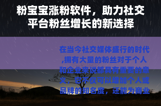 粉宝宝涨粉软件，助力社交平台粉丝增长的新选择