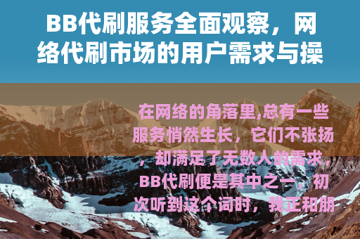 BB代刷服务全面观察，网络代刷市场的用户需求与操作方式