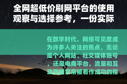 全网超低价刷网平台的使用观察与选择参考，一份实际体验记录