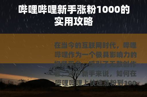 哔哩哔哩新手涨粉1000的实用攻略