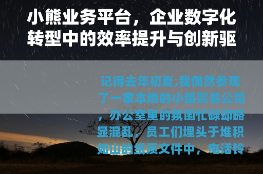 小熊业务平台，企业数字化转型中的效率提升与创新驱动工具详解