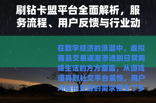 刷钻卡盟平台全面解析，服务流程、用户反馈与行业动态