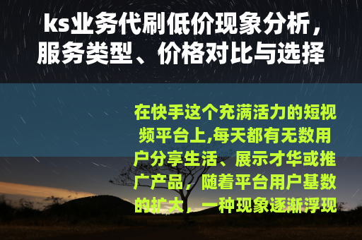 ks业务代刷低价现象分析，服务类型、价格对比与选择策略