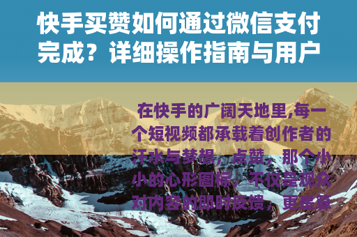 快手买赞如何通过微信支付完成？详细操作指南与用户体验分享