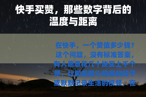 快手买赞，那些数字背后的温度与距离