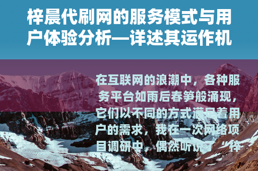 梓晨代刷网的服务模式与用户体验分析—详述其运作机制与市场定位