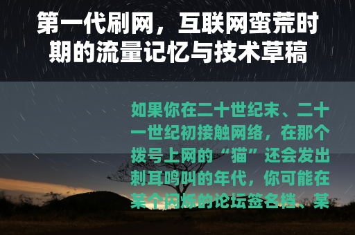 第一代刷网，互联网蛮荒时期的流量记忆与技术草稿