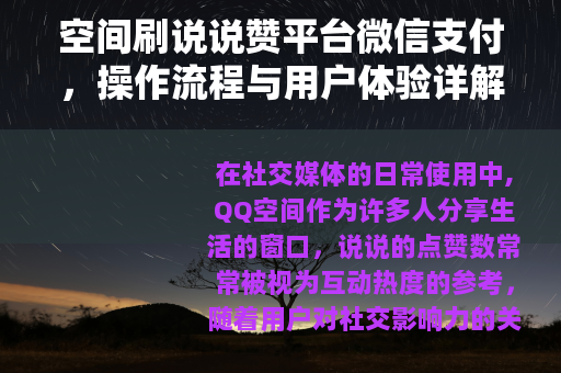 空间刷说说赞平台微信支付，操作流程与用户体验详解