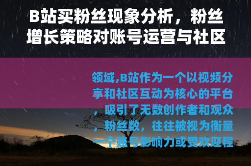 B站买粉丝现象分析，粉丝增长策略对账号运营与社区生态的影响探讨