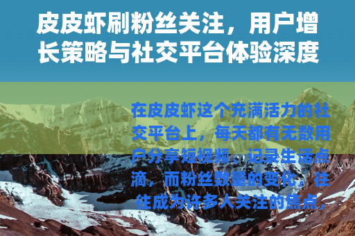 皮皮虾刷粉丝关注，用户增长策略与社交平台体验深度分享