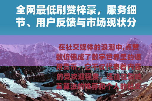 全网最低刷赞梓豪，服务细节、用户反馈与市场现状分析
