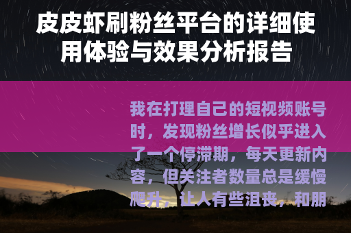 皮皮虾刷粉丝平台的详细使用体验与效果分析报告
