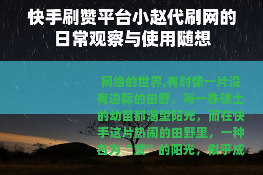 快手刷赞平台小赵代刷网的日常观察与使用随想