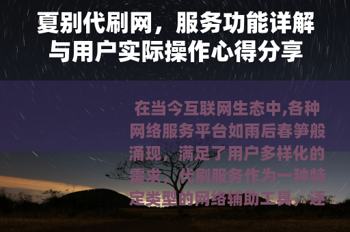 夏别代刷网，服务功能详解与用户实际操作心得分享