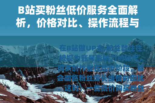 B站买粉丝低价服务全面解析，价格对比、操作流程与效果评估