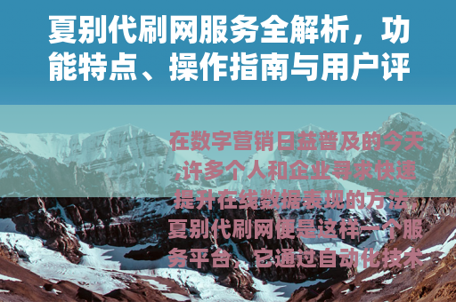 夏别代刷网服务全解析，功能特点、操作指南与用户评价