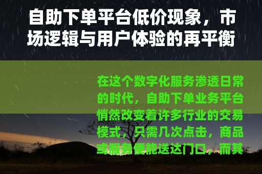 自助下单平台低价现象，市场逻辑与用户体验的再平衡