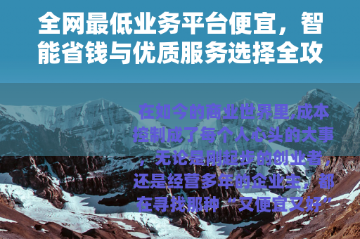 全网最低业务平台便宜，智能省钱与优质服务选择全攻略