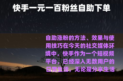 快手一元一百粉丝自助下单