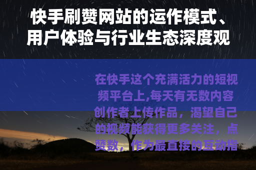 快手刷赞网站的运作模式、用户体验与行业生态深度观察