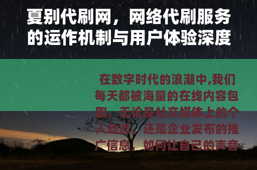 夏别代刷网，网络代刷服务的运作机制与用户体验深度分析