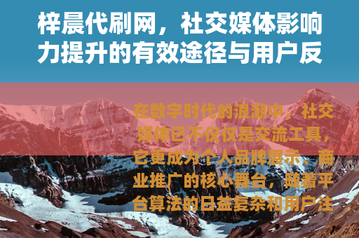 梓晨代刷网，社交媒体影响力提升的有效途径与用户反馈