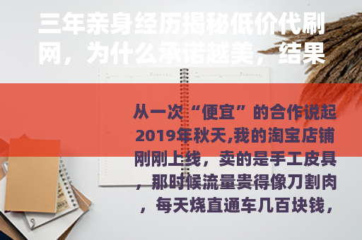 三年亲身经历揭秘低价代刷网，为什么承诺越美，结果越惨