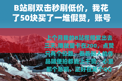 B站刷双击秒刷低价，我花了50块买了一堆假赞，账号差点废了