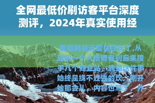 全网最低价刷访客平台深度测评，2024年真实使用经验分享