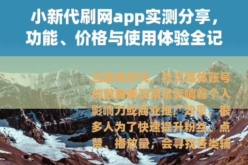 小新代刷网app实测分享，功能、价格与使用体验全记录