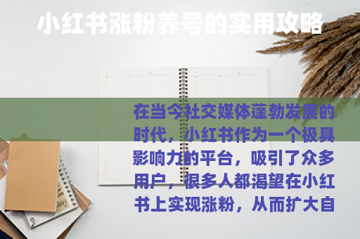 小红书涨粉养号的实用攻略