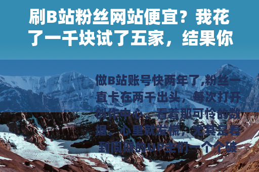刷B站粉丝网站便宜？我花了一千块试了五家，结果你可能想不到