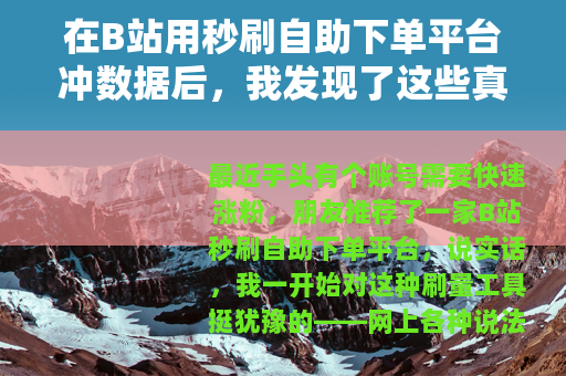 在B站用秒刷自助下单平台冲数据后，我发现了这些真实状况