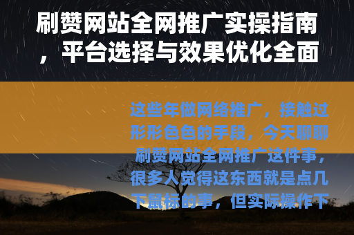 刷赞网站全网推广实操指南，平台选择与效果优化全面解析