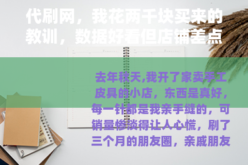 代刷网，我花两千块买来的教训，数据好看但店铺差点废了