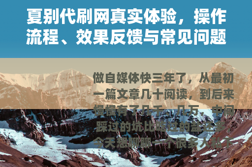 夏别代刷网真实体验，操作流程、效果反馈与常见问题解答