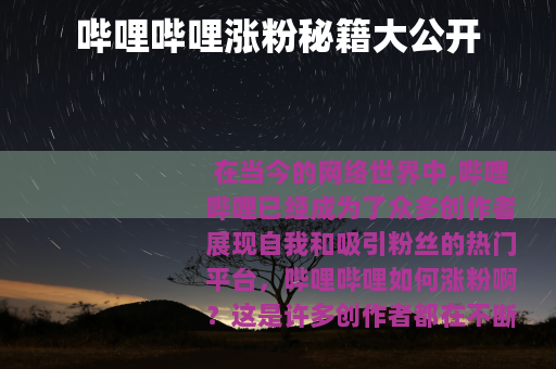 哔哩哔哩涨粉秘籍大公开