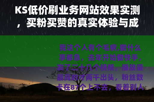 KS低价刷业务网站效果实测，买粉买赞的真实体验与成本分析