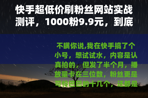 快手超低价刷粉丝网站实战测评，1000粉9.9元，到底值不值？