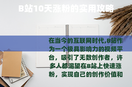 B站10天涨粉的实用攻略