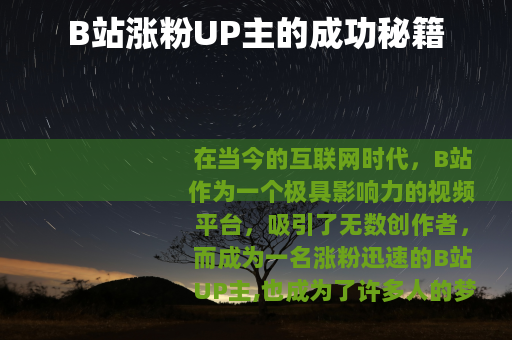 B站涨粉UP主的成功秘籍