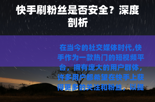 快手刷粉丝是否安全？深度剖析