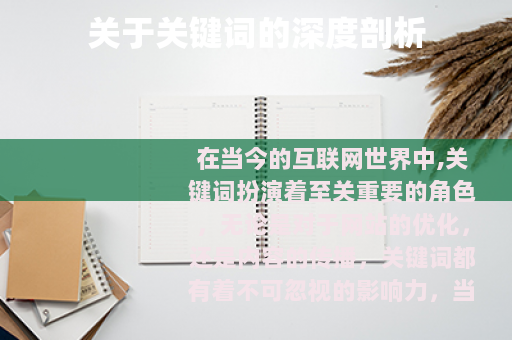 关于关键词的深度剖析