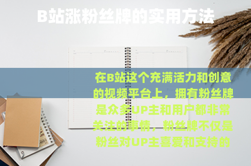 B站涨粉丝牌的实用方法