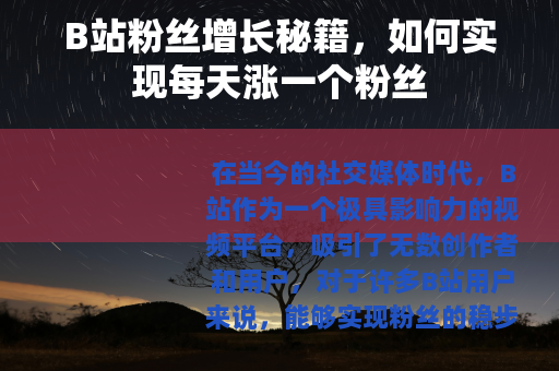 B站粉丝增长秘籍，如何实现每天涨一个粉丝