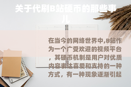 关于代刷B站硬币的那些事儿