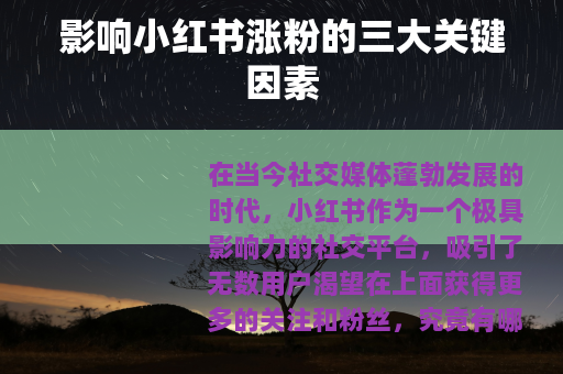 影响小红书涨粉的三大关键因素
