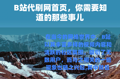 B站代刷网首页，你需要知道的那些事儿