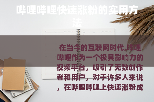 哔哩哔哩快速涨粉的实用方法