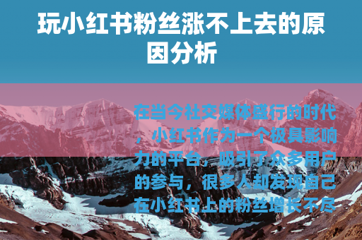 玩小红书粉丝涨不上去的原因分析
